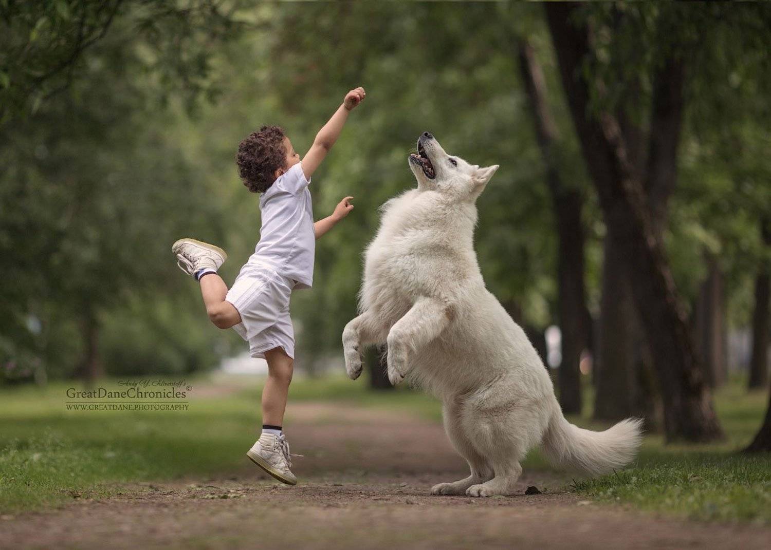 , Андрей Селиверстов