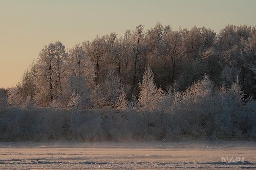 Утро на реке