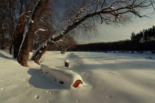 Январские зарисовки.