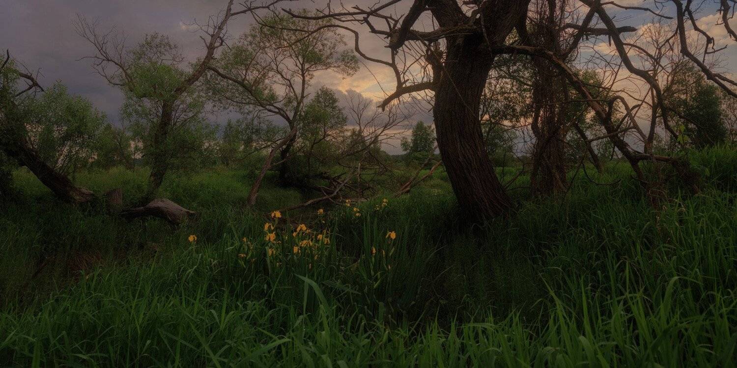 , Михаил Кушнер