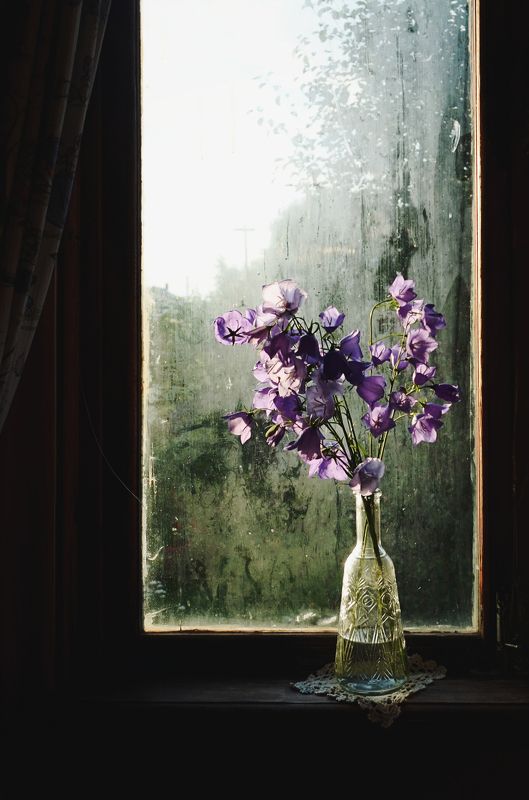 анна анка салтыкова, окно, натюрморт, букет, цветы, колокольчики, солнце, свет, стекло, деревня *** фото превью