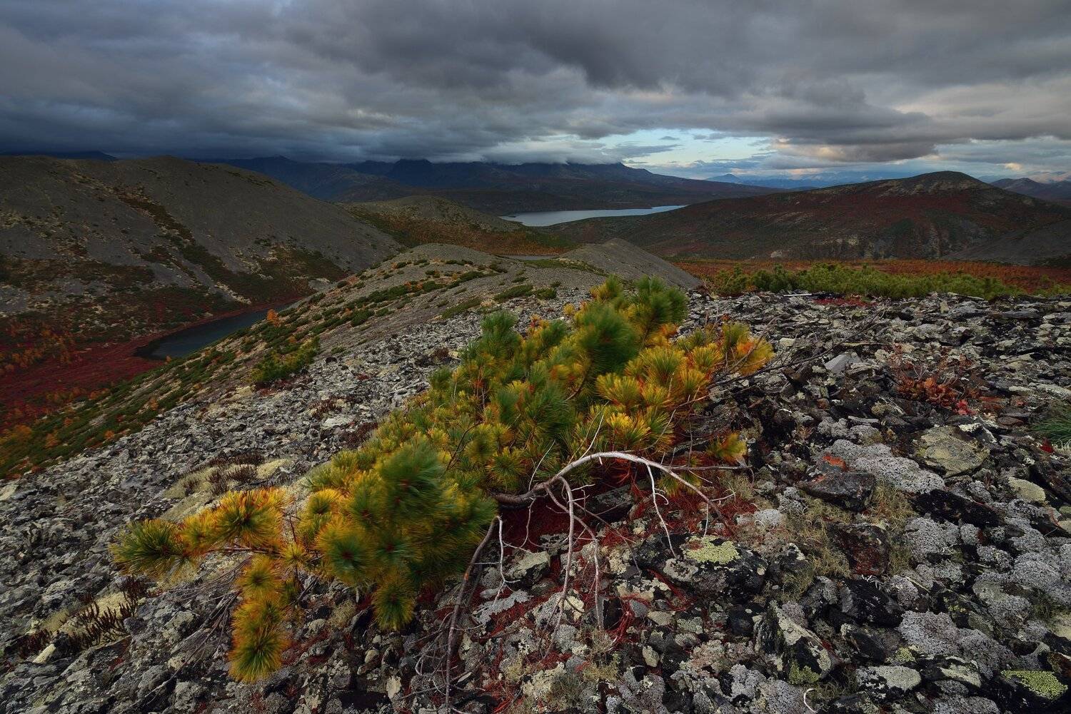 , Максим Евдокимов (phototourtravel.ru)