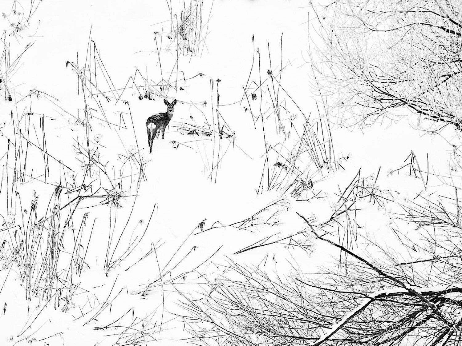 , Мазурин Евгений