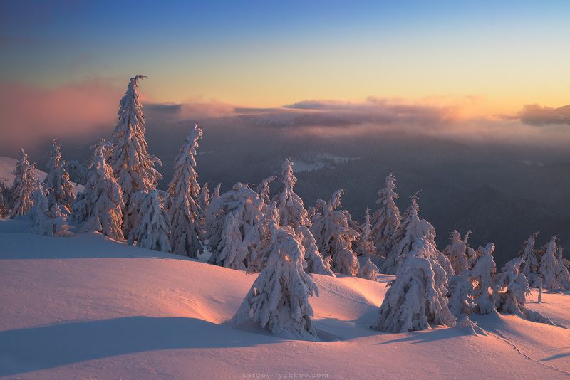 карпаты, украина, горы, зима, пейзаж, лес, winter, sno, carpathians, ukraine, nature Просто утро в Карпатах фото превью