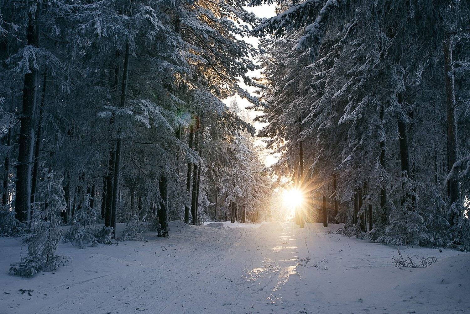 урал, зимний лес, зима, закат, Евгений Толкачёв