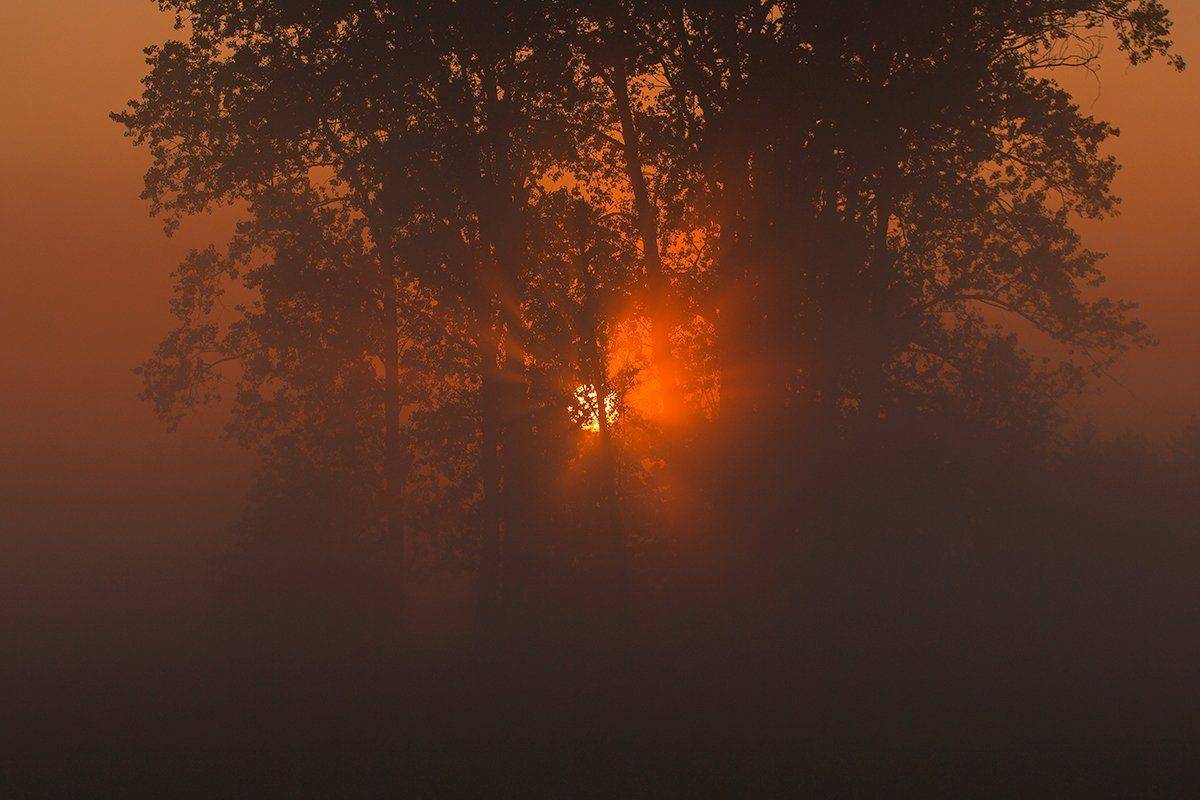 , Pawel Plucinski