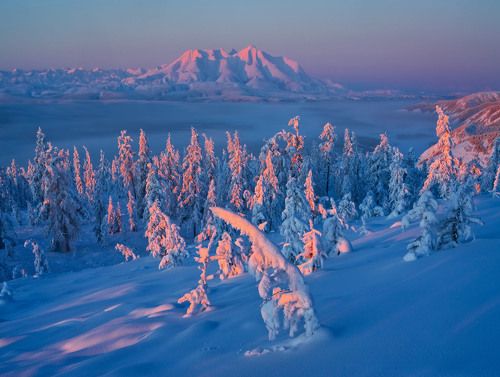 В сопках Якутии. - 57.