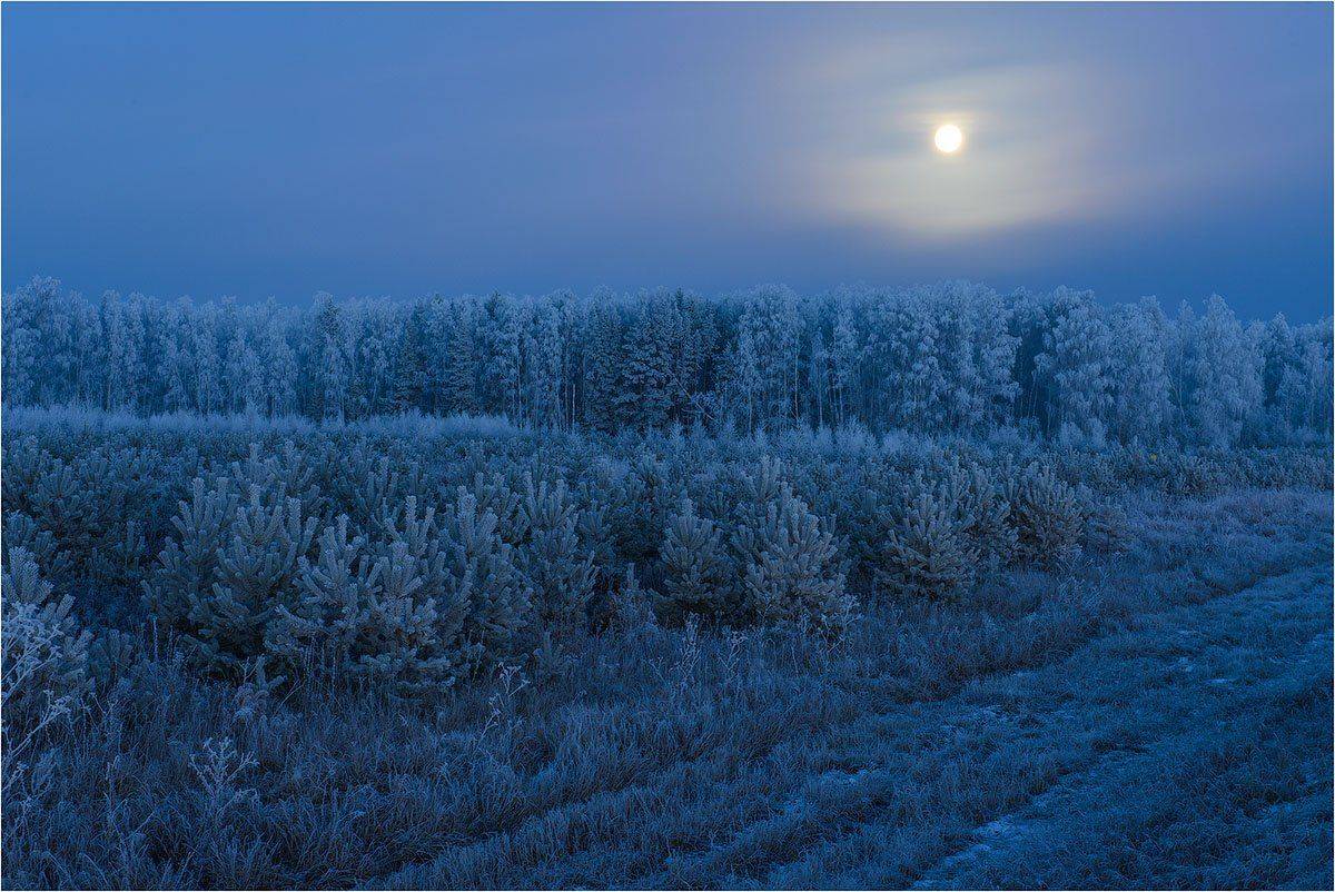 , Кутыгин Эдуард