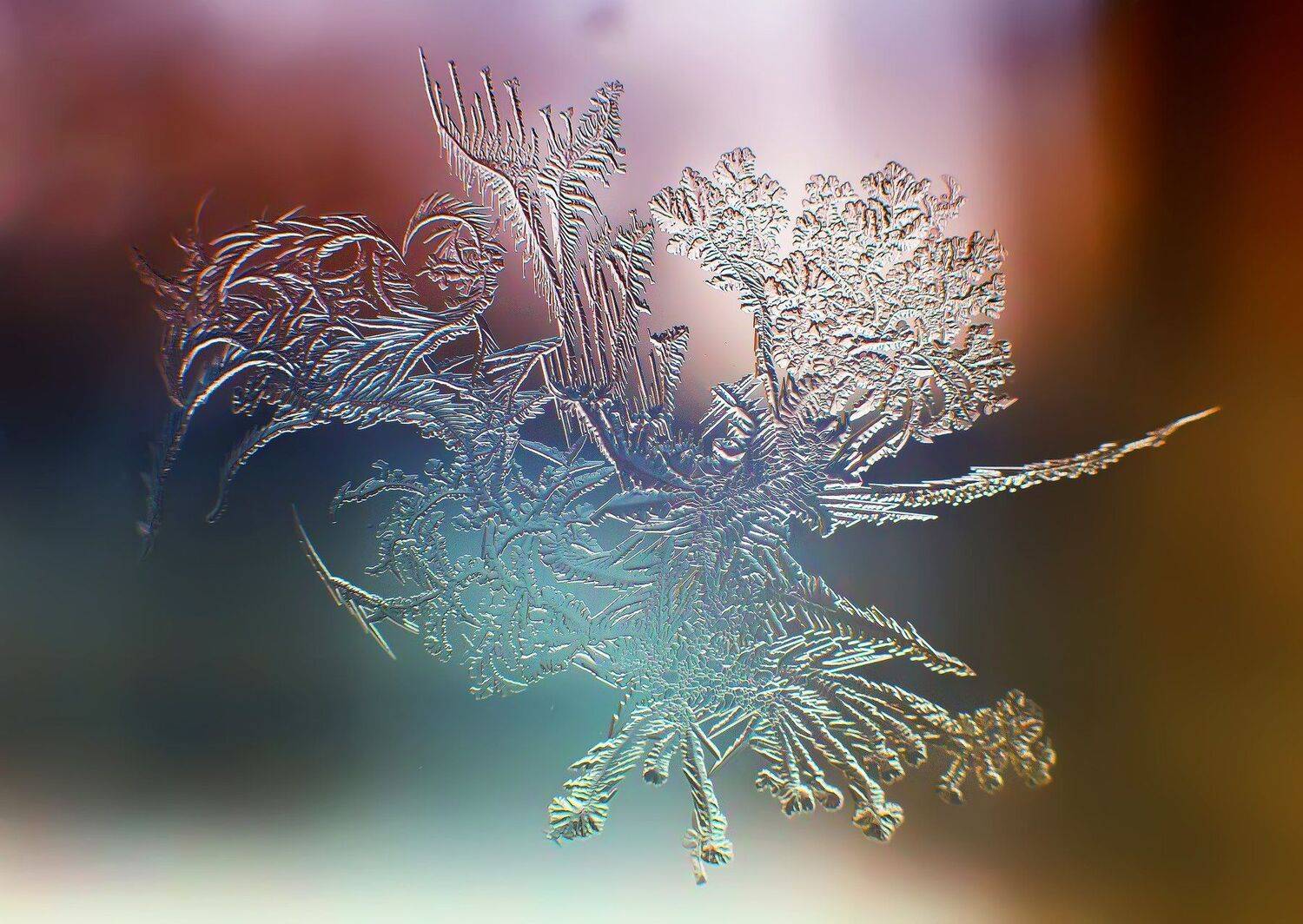 , Павел Сагайдак