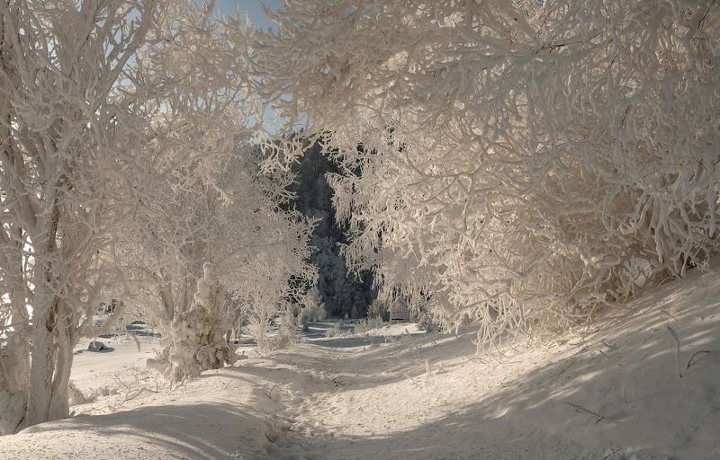 Кружево зимы. фото превью