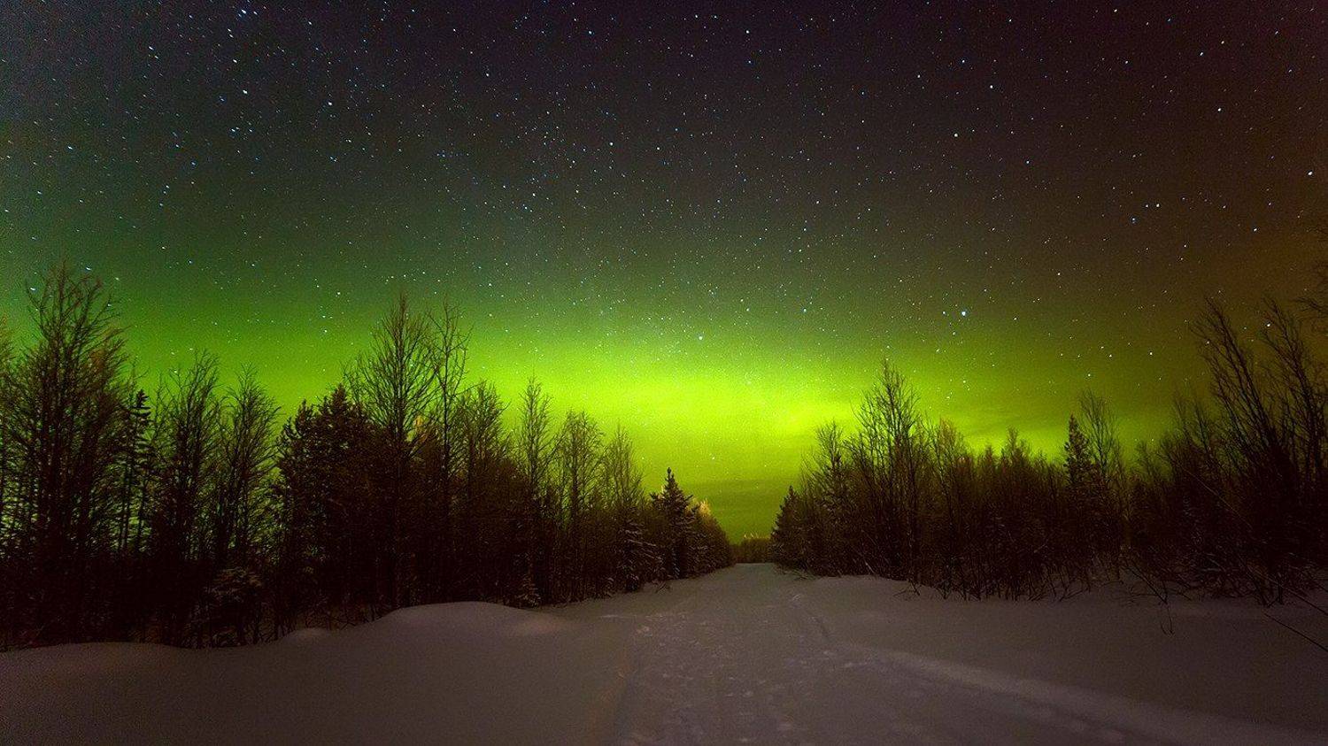 север,ночь,природа,северное сияние,зима,краски,печора,коми,north,night,nature,northern lights,winter,paint,pechora,komi republic, Игорь Триер