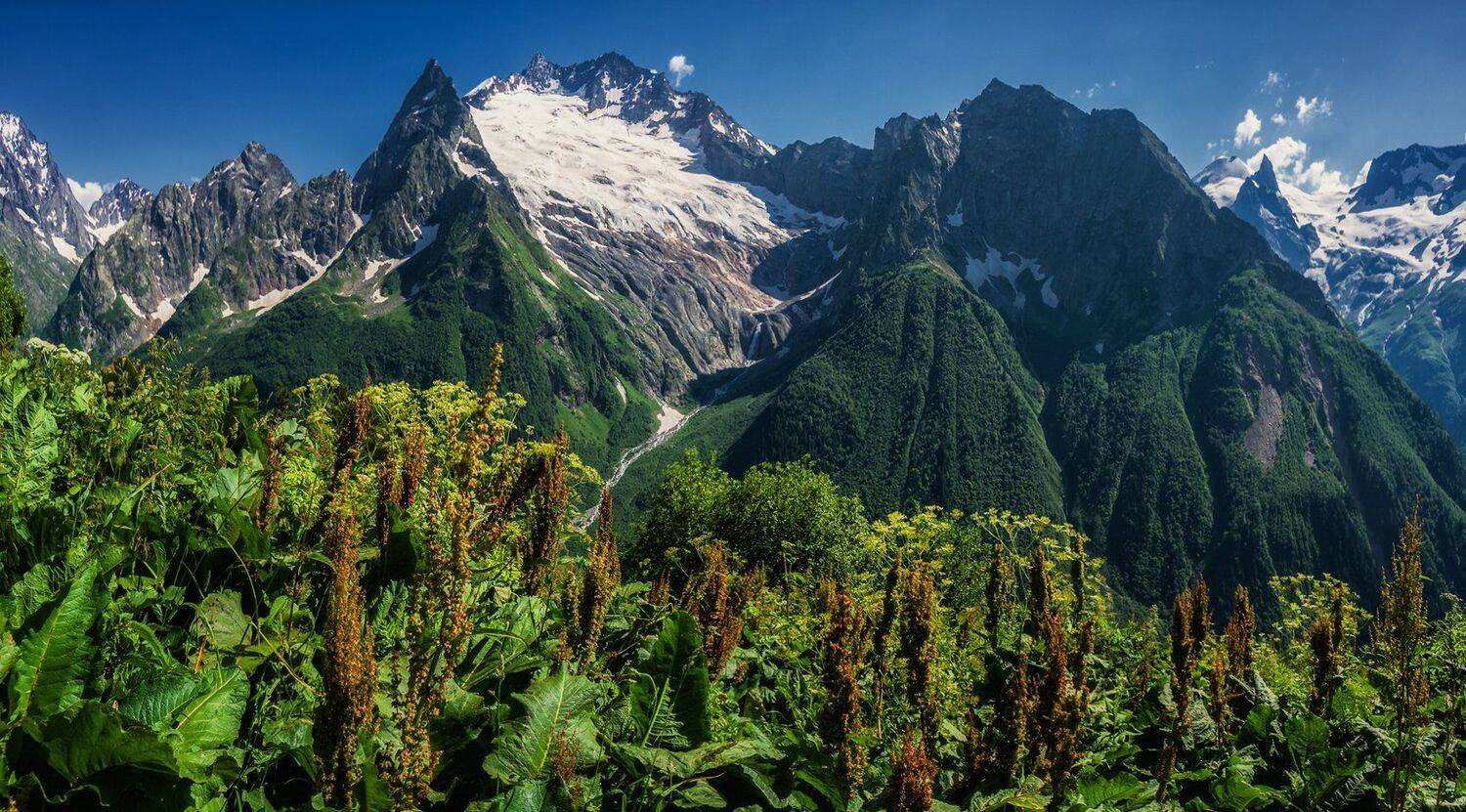 , Игорь Мелекесцев