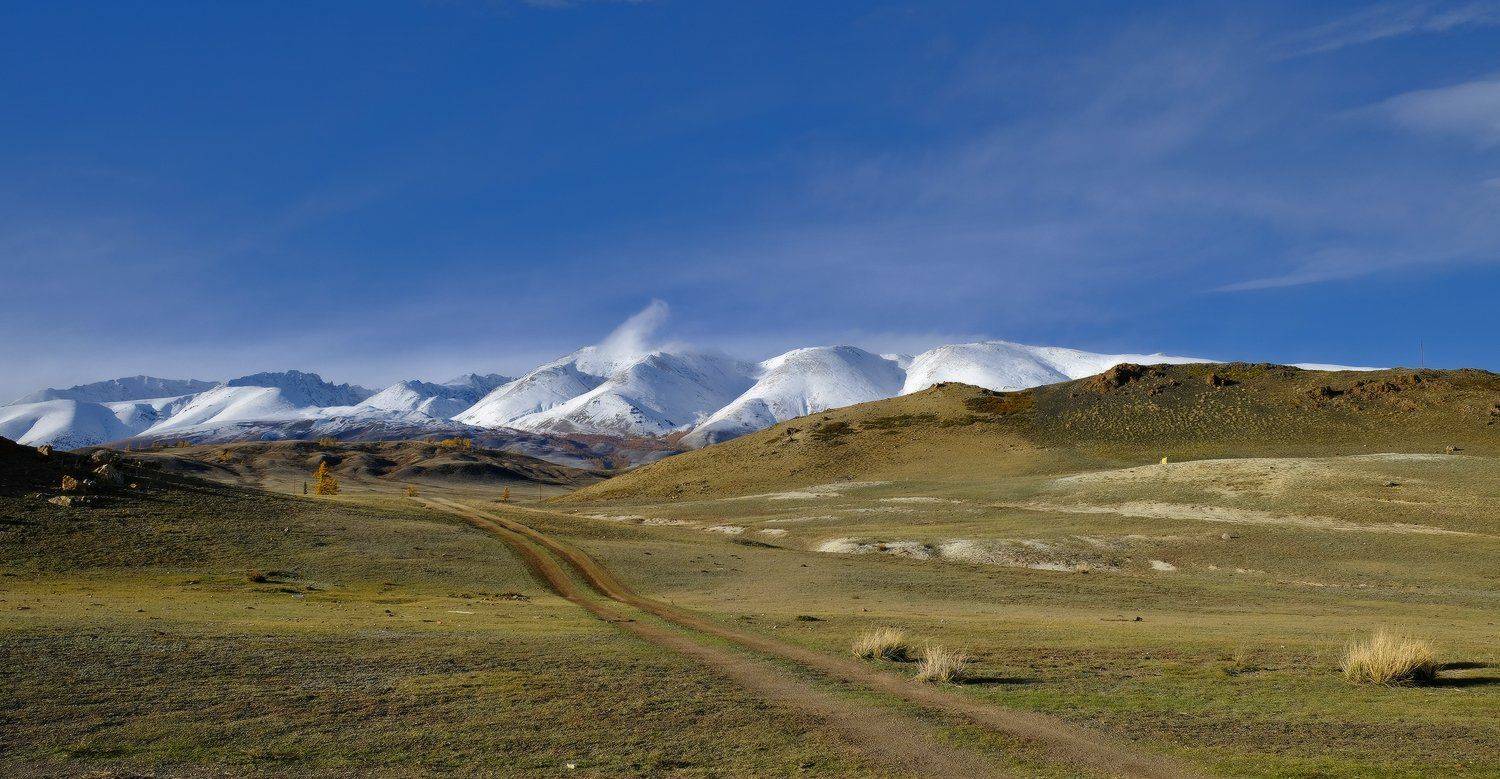 , Ольга Челдыкова