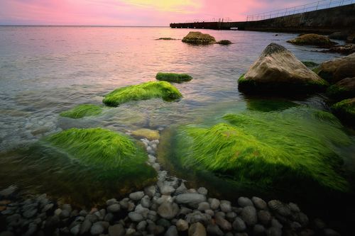 Мохнатая душевность 3