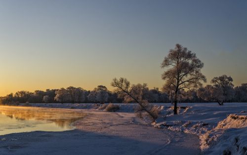 Морозное утро