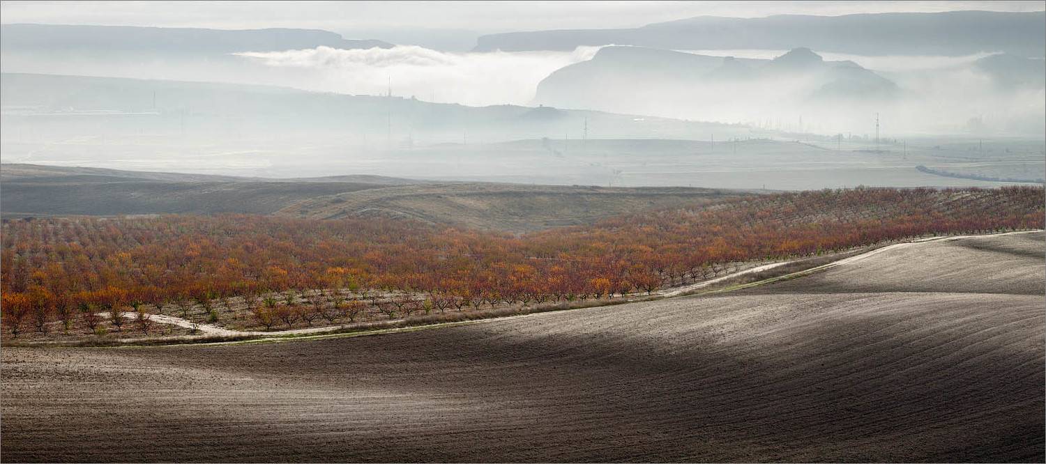 , Алексей Пучков