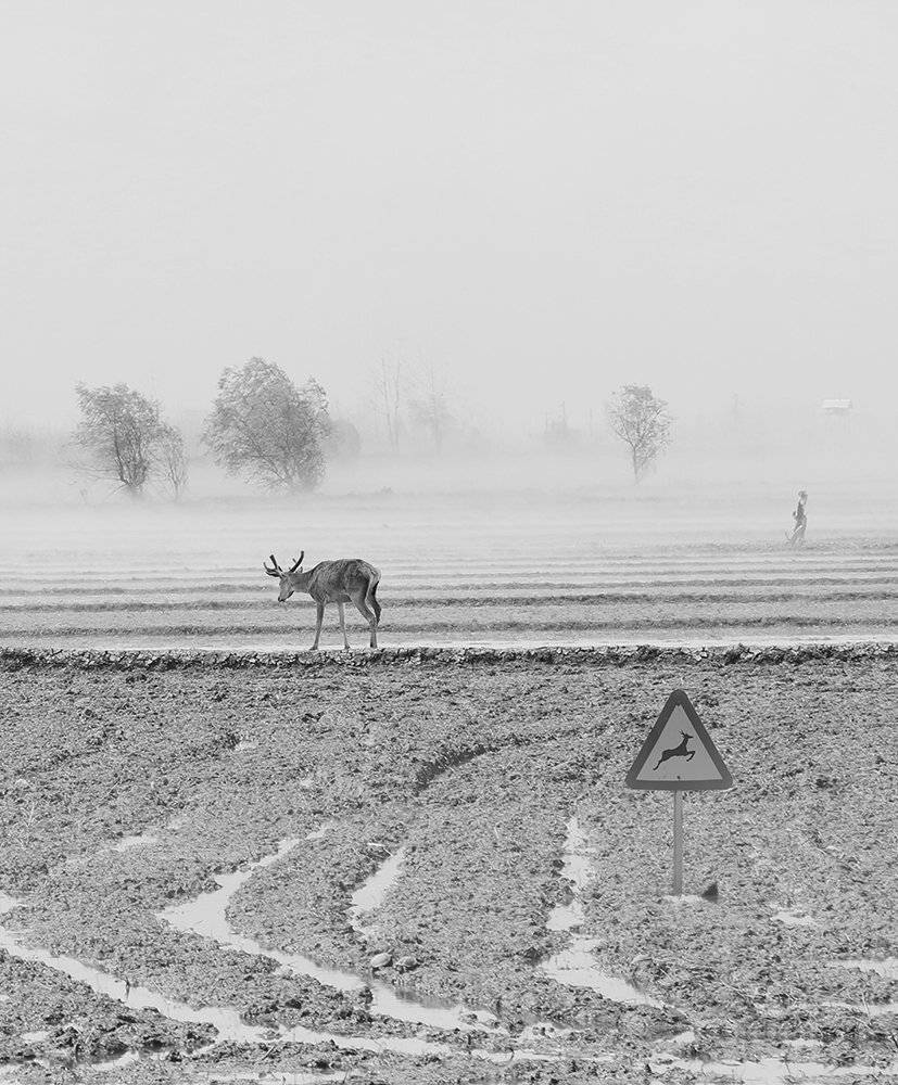 #hosseinmehrzad #myfeatureshoot #friendsinperson #حسین_مهرزاد #everydayeverywhere #persianlikes #hartcollective #streetpho, Hossein Mehrzad