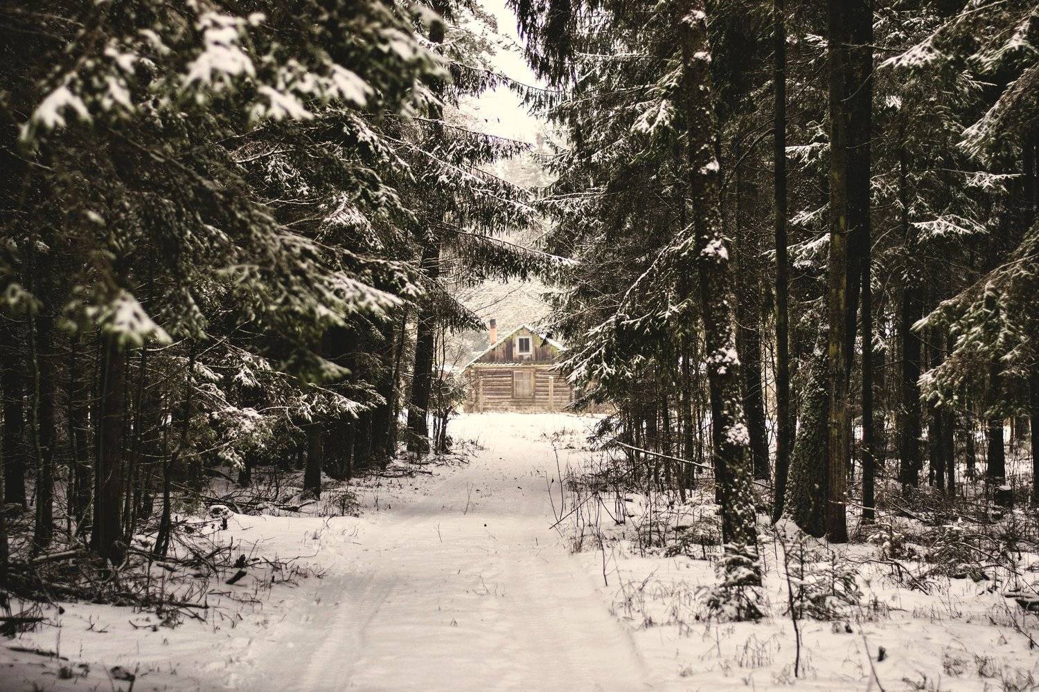 nature, snow, winter, nikon, Elein