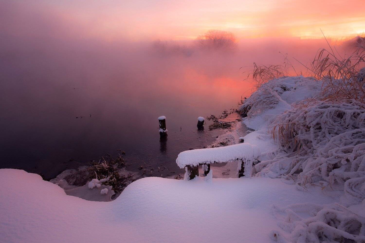 , Игорь Криницын