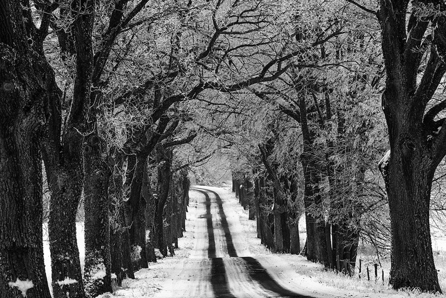 , Геннадий Новов