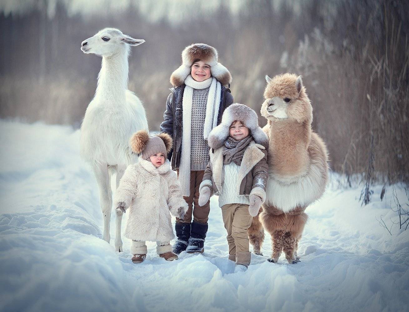 , Диана Аникеева