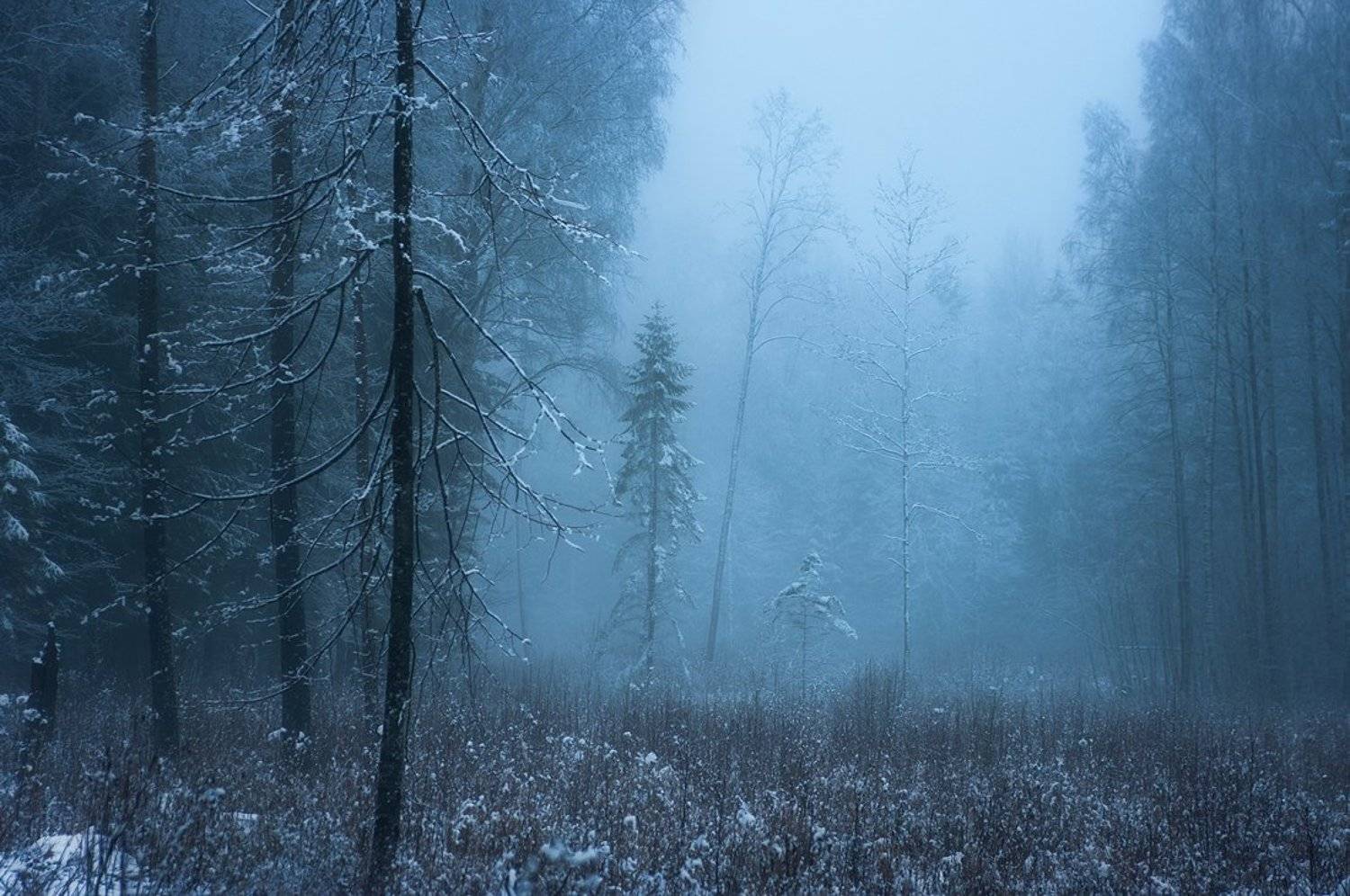 , Justinas Kondrotas