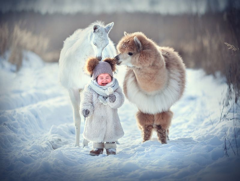 Не все любят лам))) фото превью