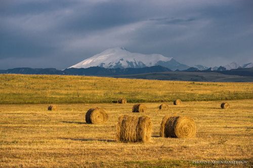 ОСЕННИЙ ПЕЙЗАЖ С ЭЛЬБРУСОМ