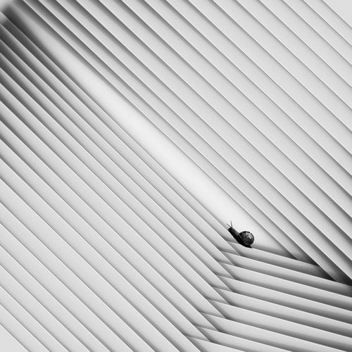 On the edge