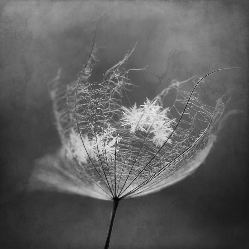 letnio zimowe ulotnosci фото превью