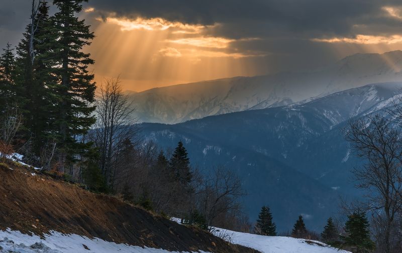 *** фото превью