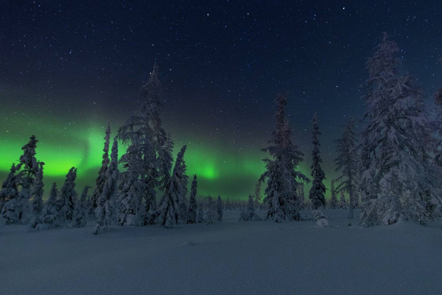 ямал , зима , природа, салехард ,сибирь,  ямал ,север, сияние, аврора,северное сияние, Настя Братка