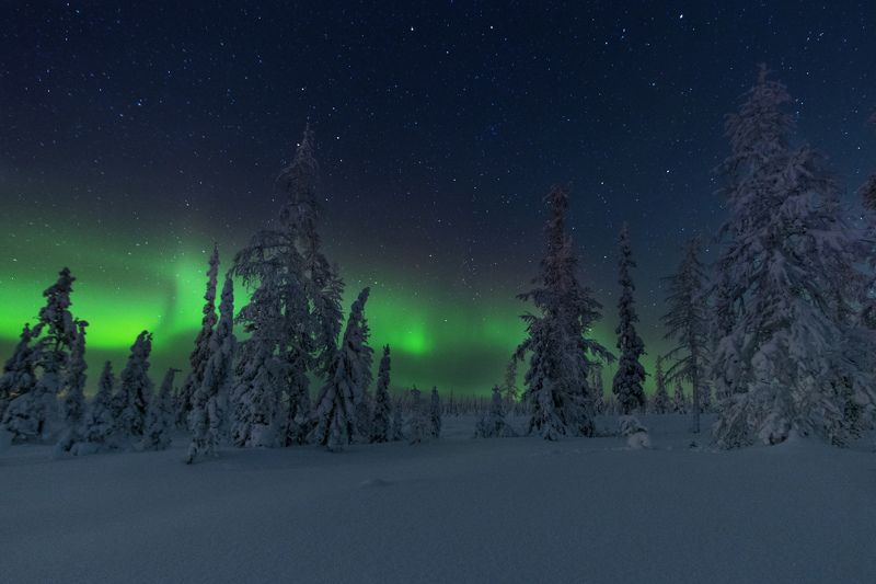 ямал , зима , природа, салехард ,сибирь,  ямал ,север, сияние, аврора,северное сияние \