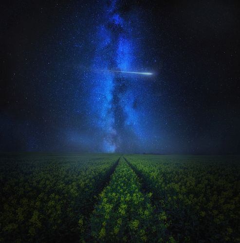 Foggy night