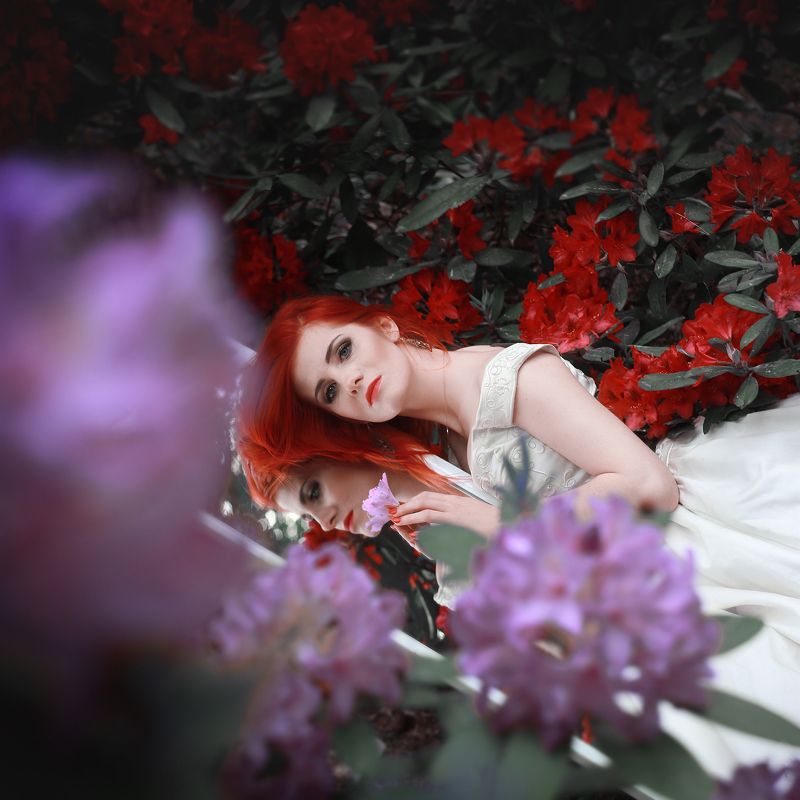 Fotografie фото превью