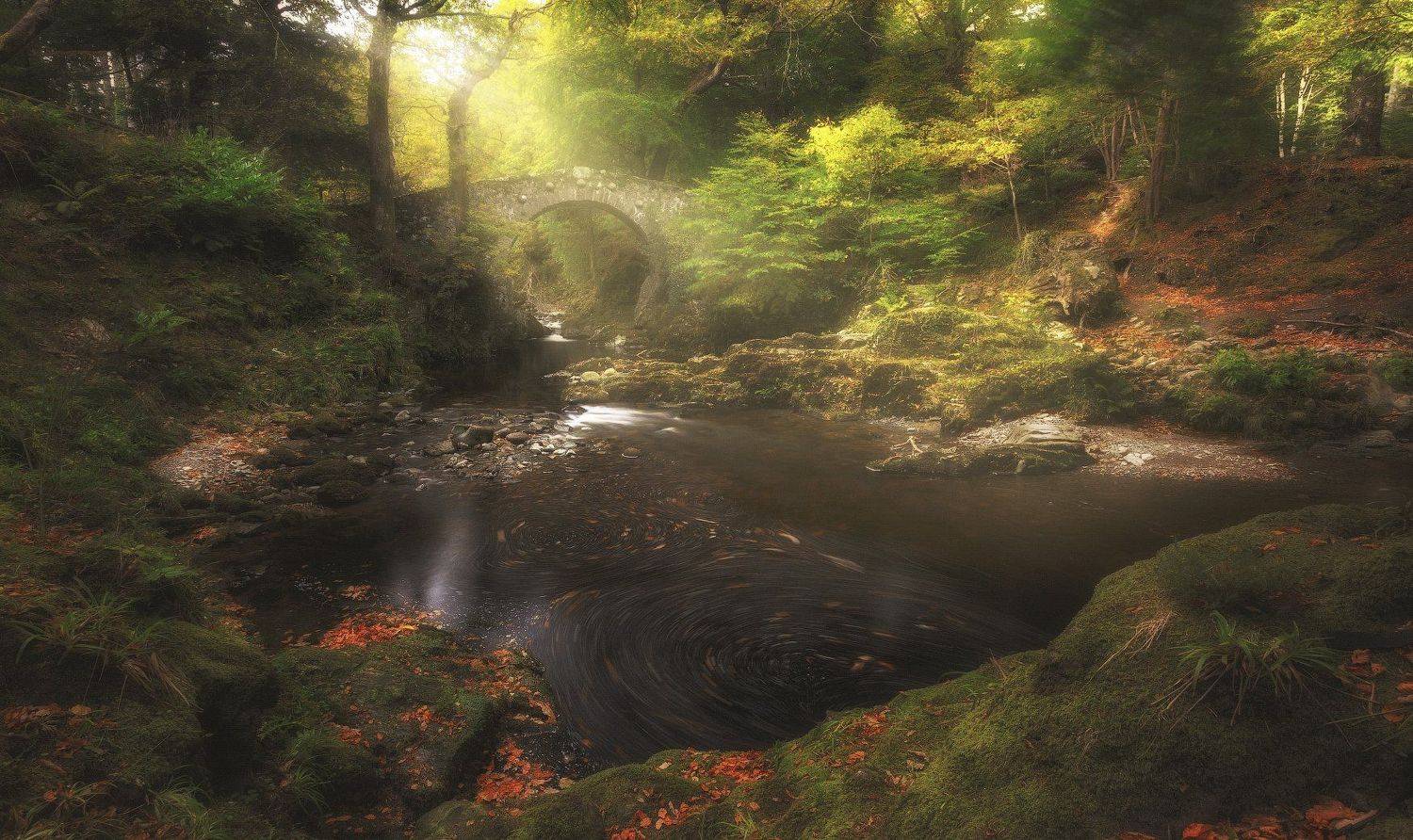 , Рашид Хайданов