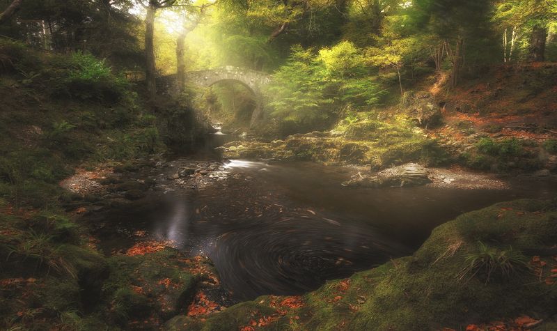 Краски осени! фото превью