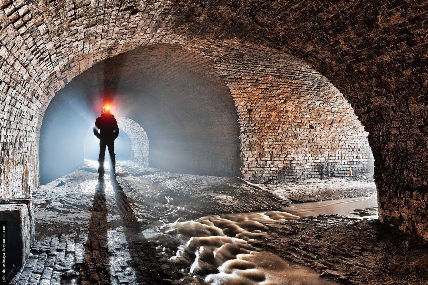 , Анна Аринова