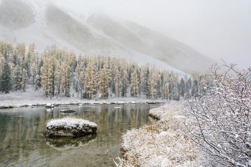 припорошило