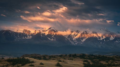 Полоска утреннего света / Morning Glory stripe