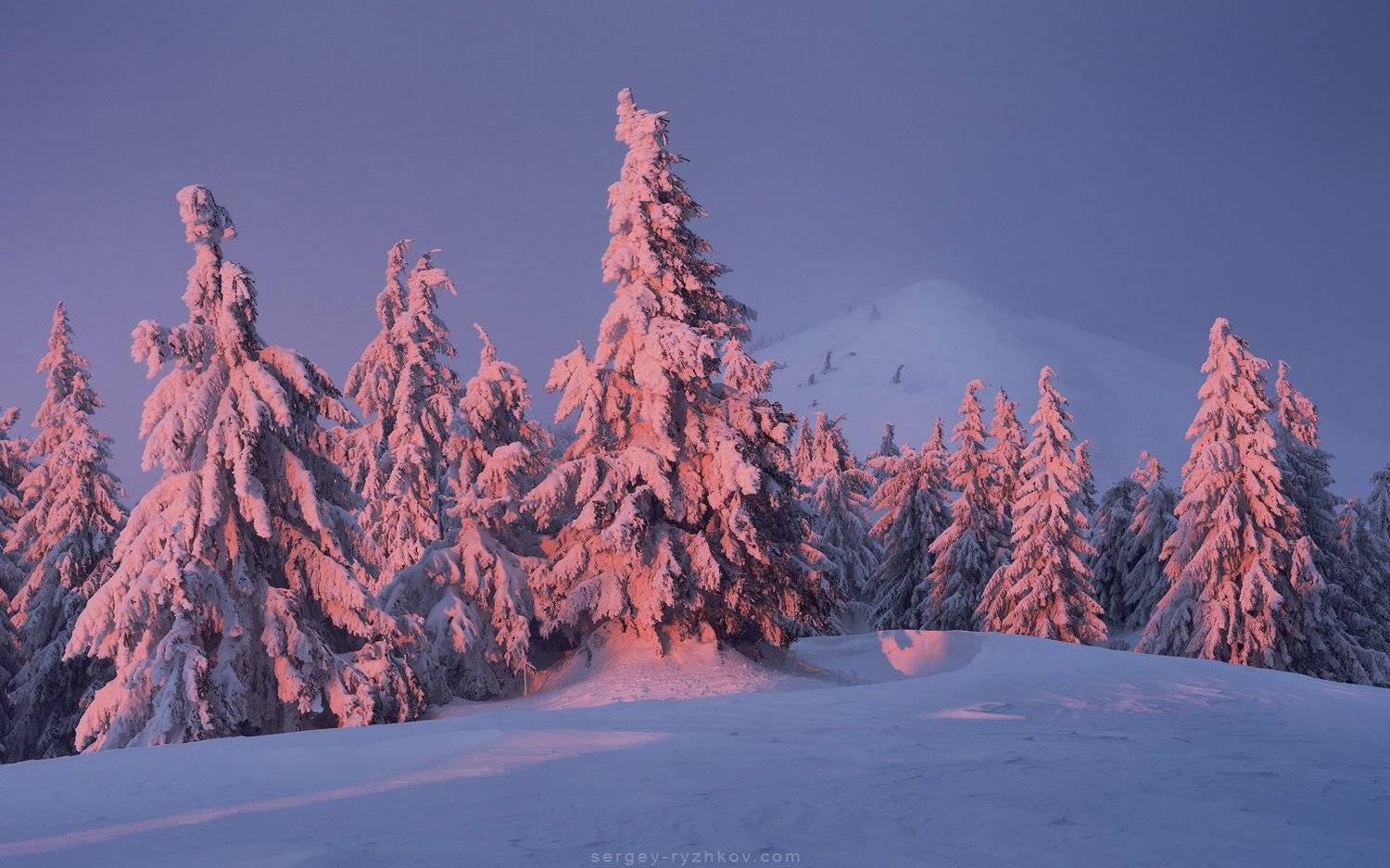 карпаты, горы, украина, пейзаж, природа, зима, лес, nature, carpathians, ukraine, landscape, winter, Сергей Рыжков