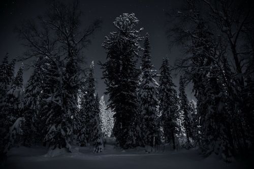 Лунная соната...