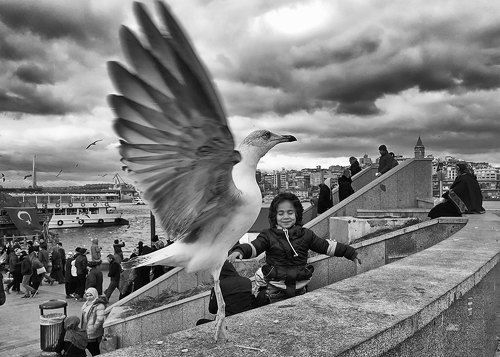 feeling of flying