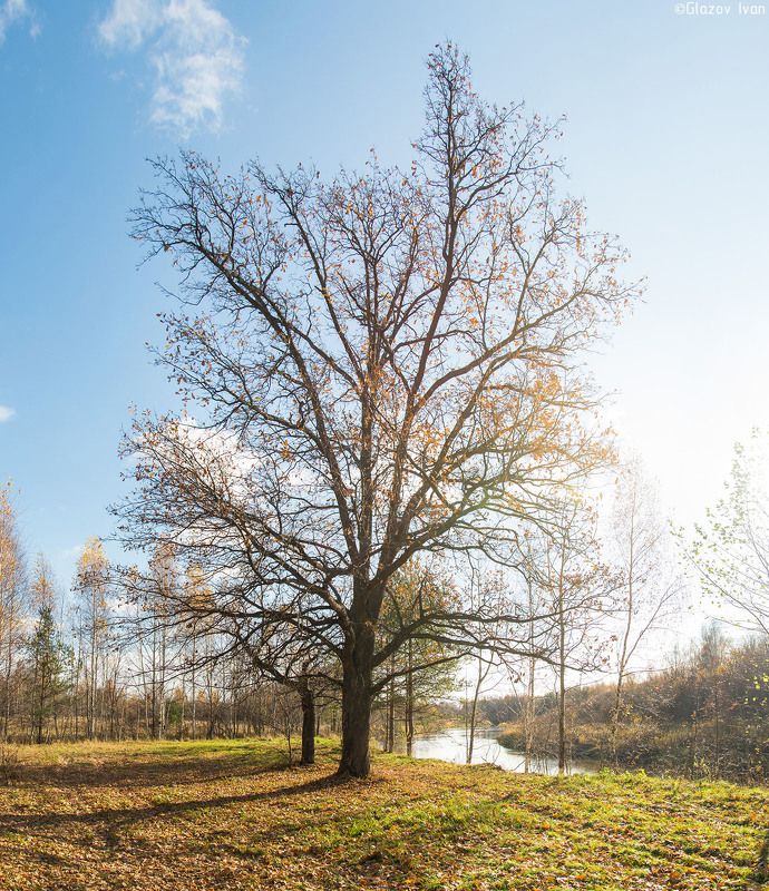 вспомним осень фото превью
