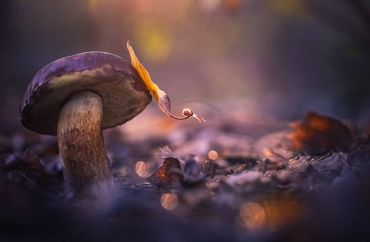 , Вячеслав Мищенко