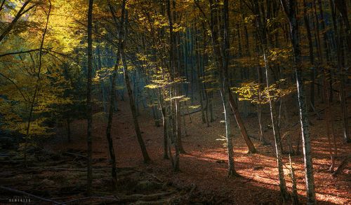 Над Сары-Узенью.