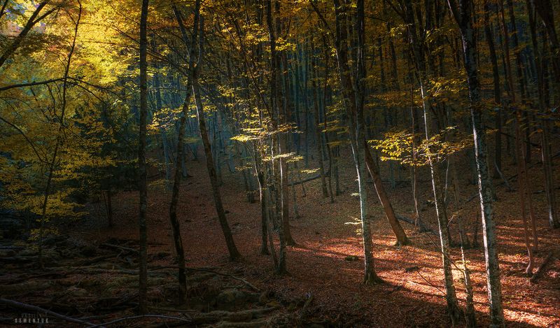 Над Сары-Узенью. фото превью