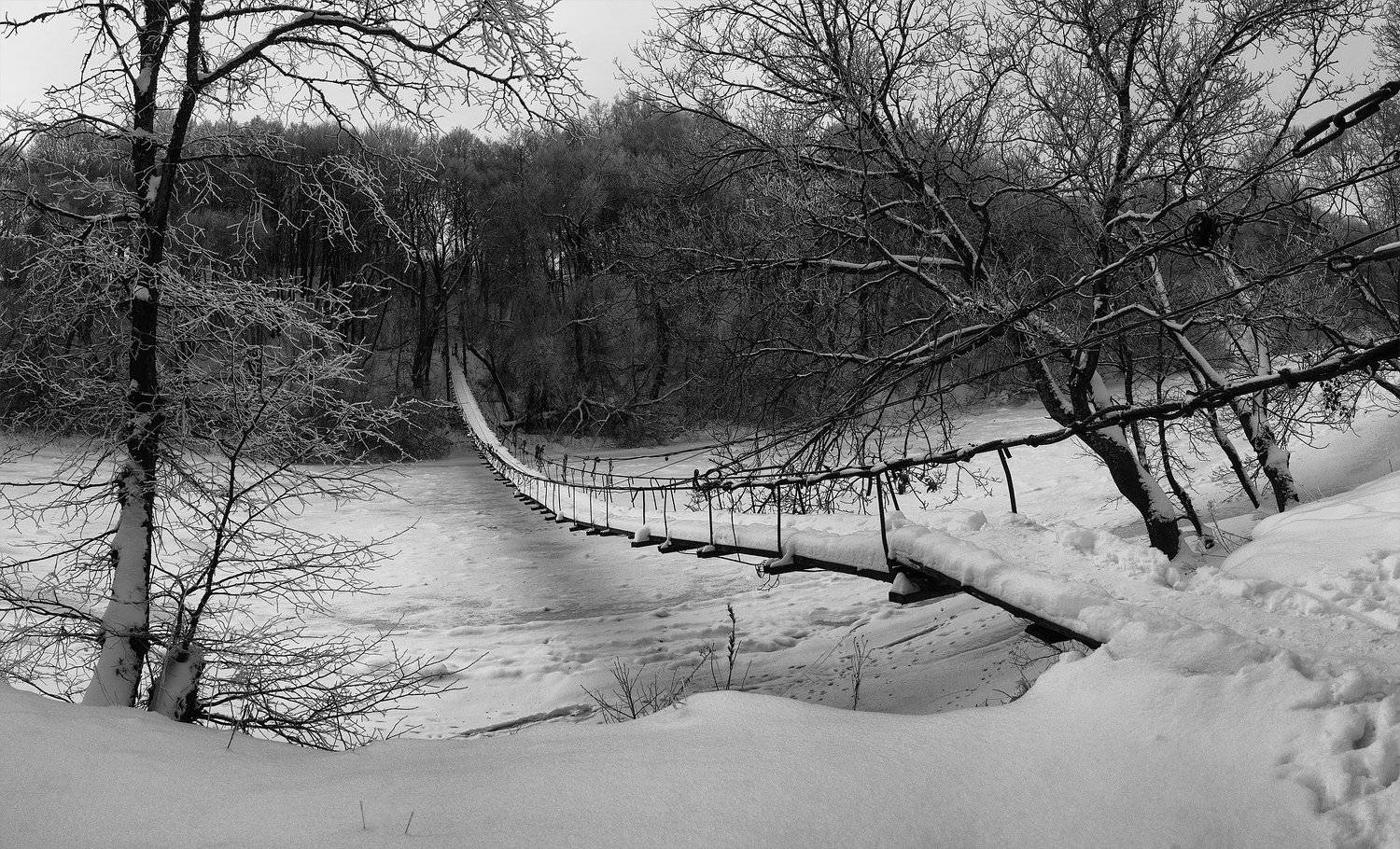 алексей платонов, брянск, хотылево, мост, десна, зима, Платонов Алексей