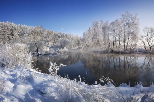 Зимний полдень