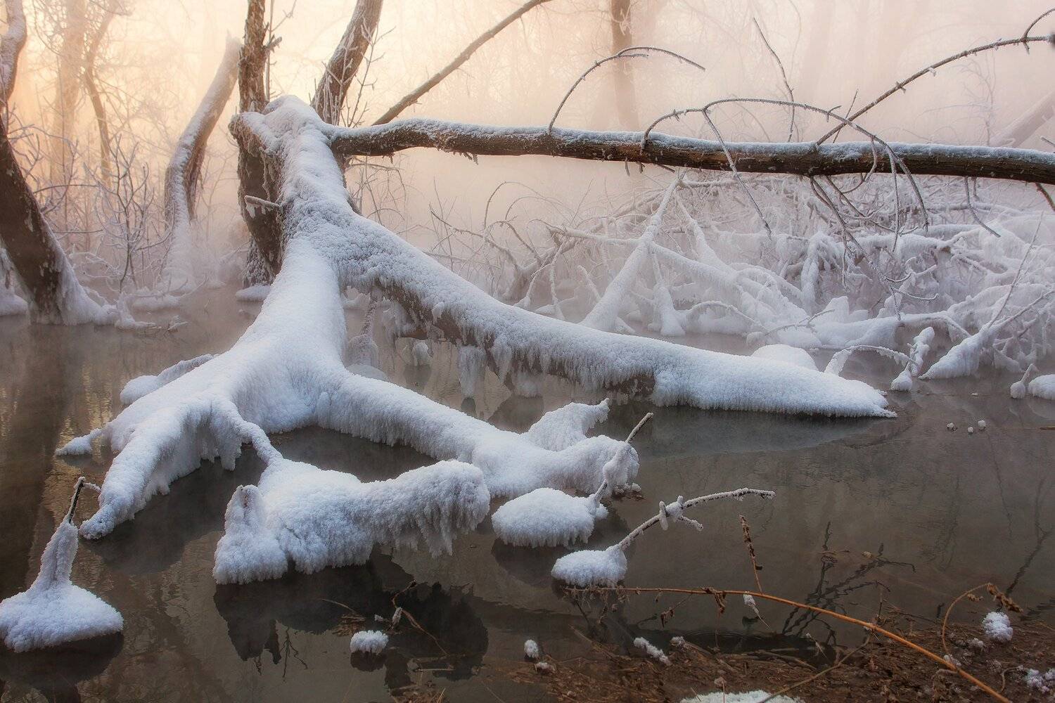 , Павел Сагайдак